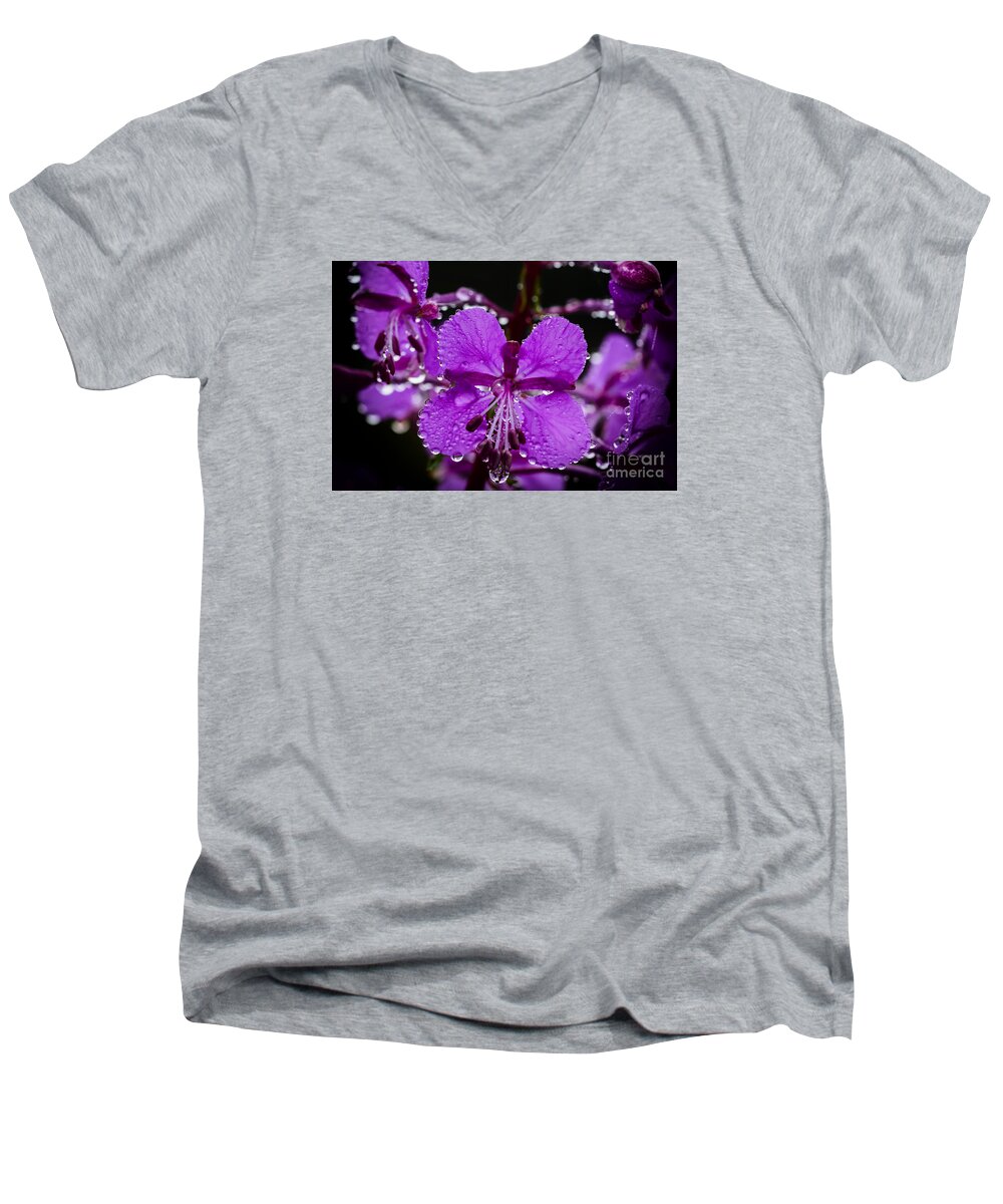 Summer Men's V-Neck T-Shirt featuring the photograph Fireweed with Dew by Thomas R Fletcher