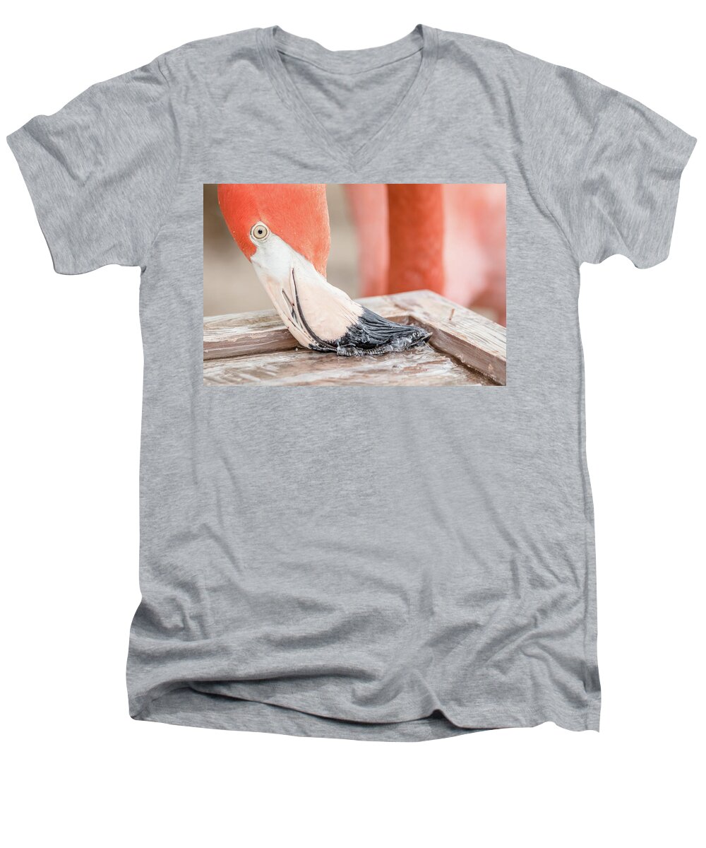 Architecture Men's V-Neck T-Shirt featuring the photograph Flamingo at Sea World in Orlando Florida by Peter Ciro