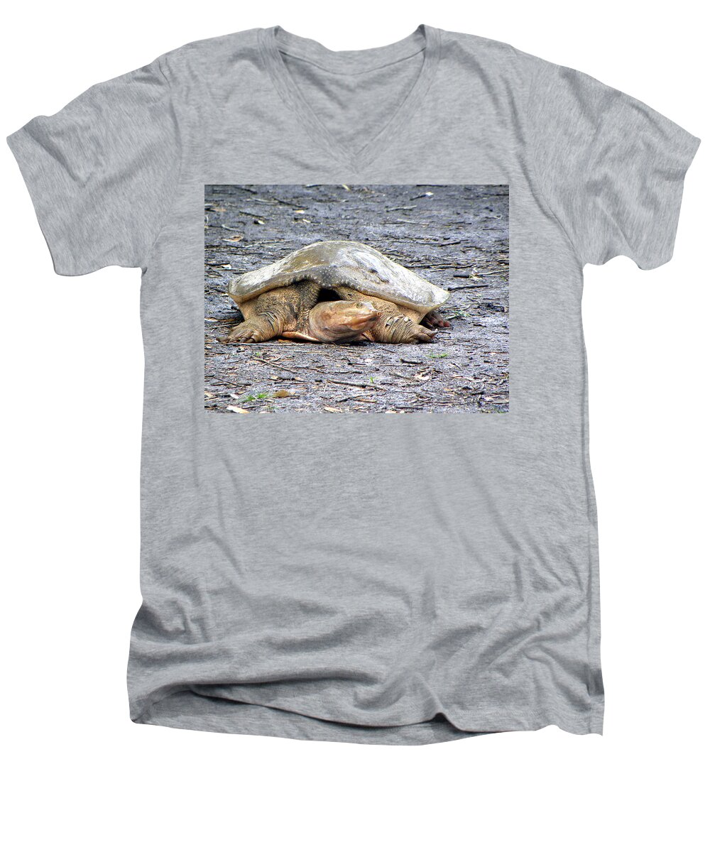 Turtle Men's V-Neck T-Shirt featuring the photograph Florida Softshell Turtle 001 by Christopher Mercer