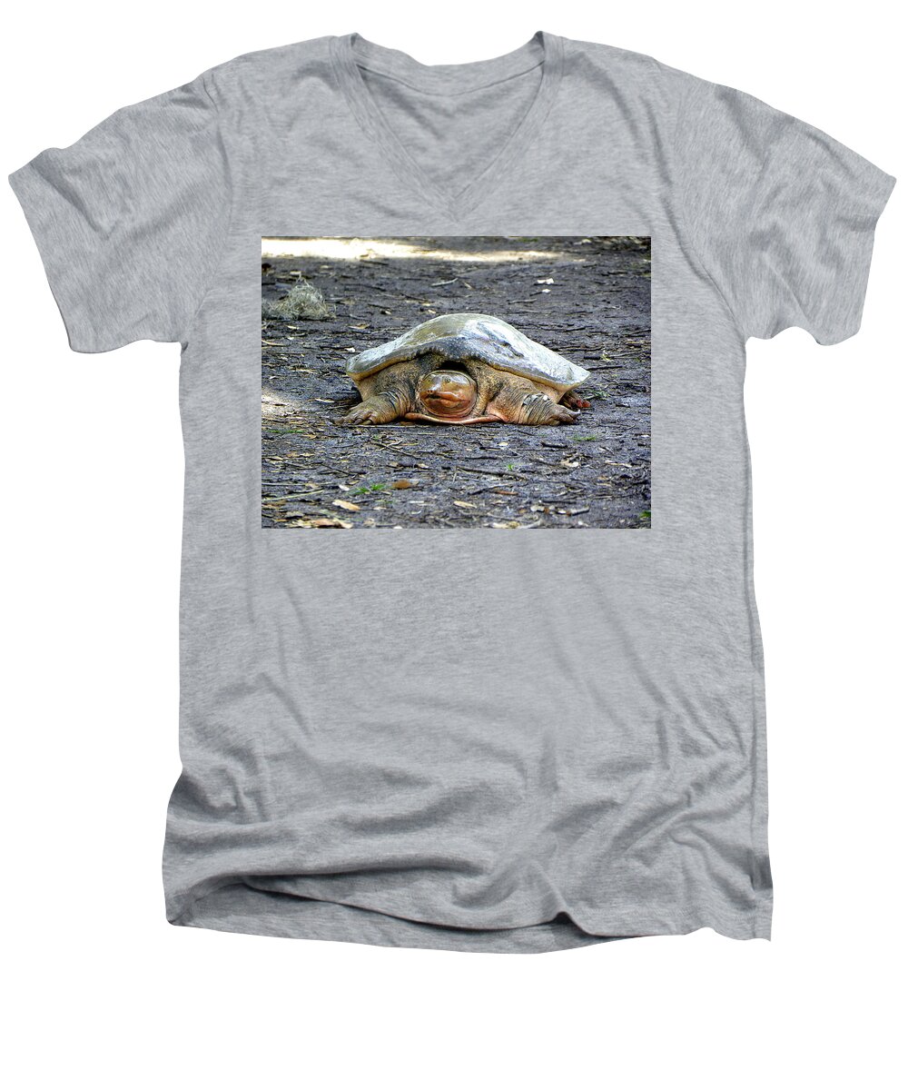 Turtle Men's V-Neck T-Shirt featuring the photograph Florida Softshell Turtle 002 by Christopher Mercer
