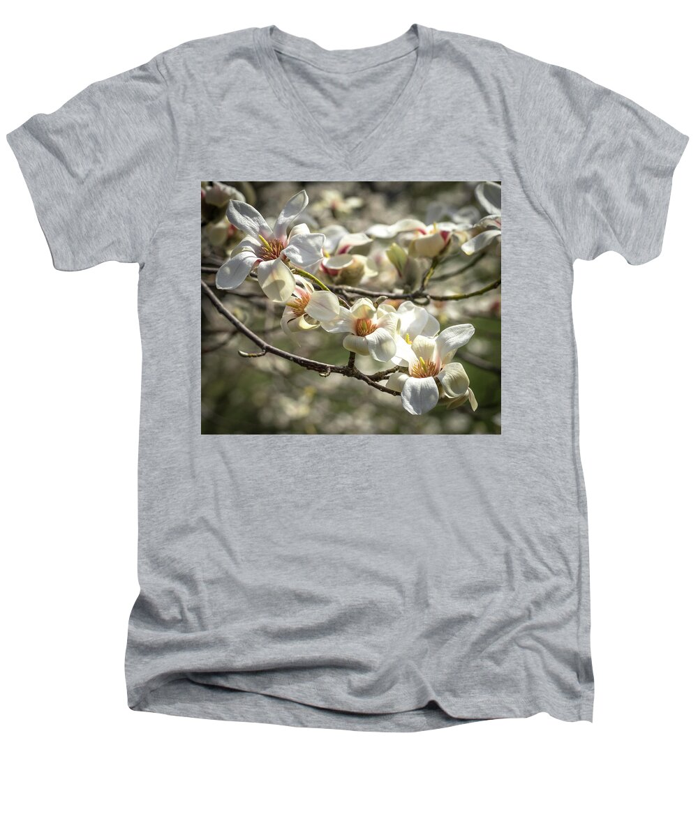Cathy Donohoue Photography Men's V-Neck T-Shirt featuring the photograph Flowering Magnolia by Cathy Donohoue