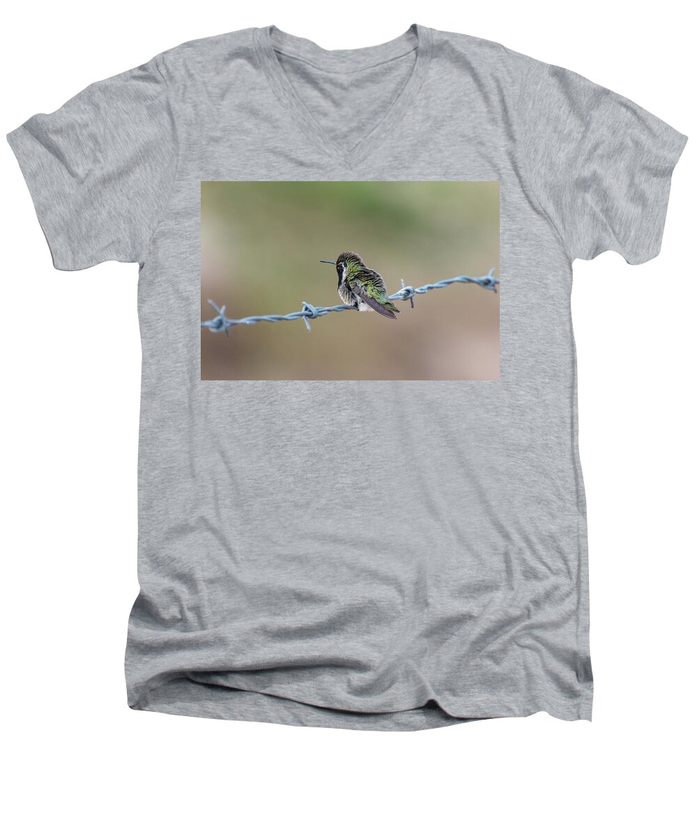 Nature Men's V-Neck T-Shirt featuring the photograph Fluffy Hummingbird by Douglas Killourie