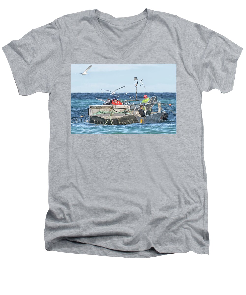 Herring Men's V-Neck T-Shirt featuring the photograph Flying Fish by Randy Hall