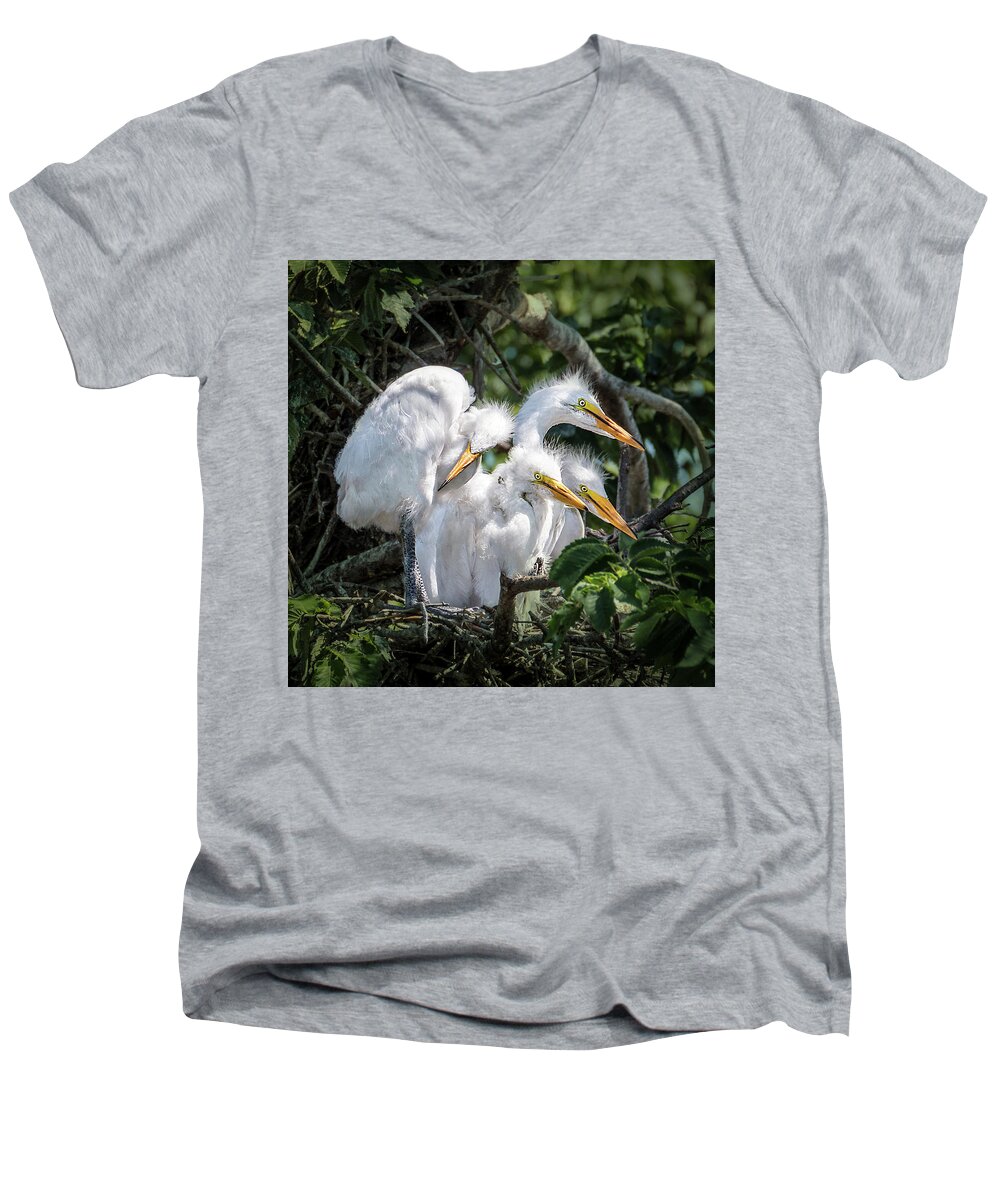 Birds Men's V-Neck T-Shirt featuring the photograph Four Egret Chicks in Nest by Patti Deters