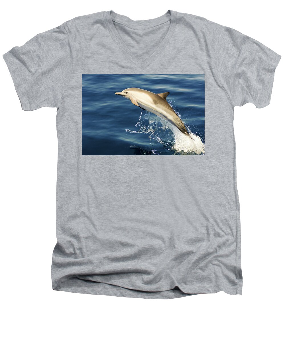 Porpoise Men's V-Neck T-Shirt featuring the photograph Free Jumper by David Shuler