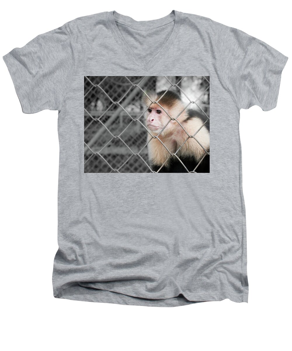 Animals Need More Freedom Men's V-Neck T-Shirt featuring the photograph Freedom not bigger cage by Nick Mares