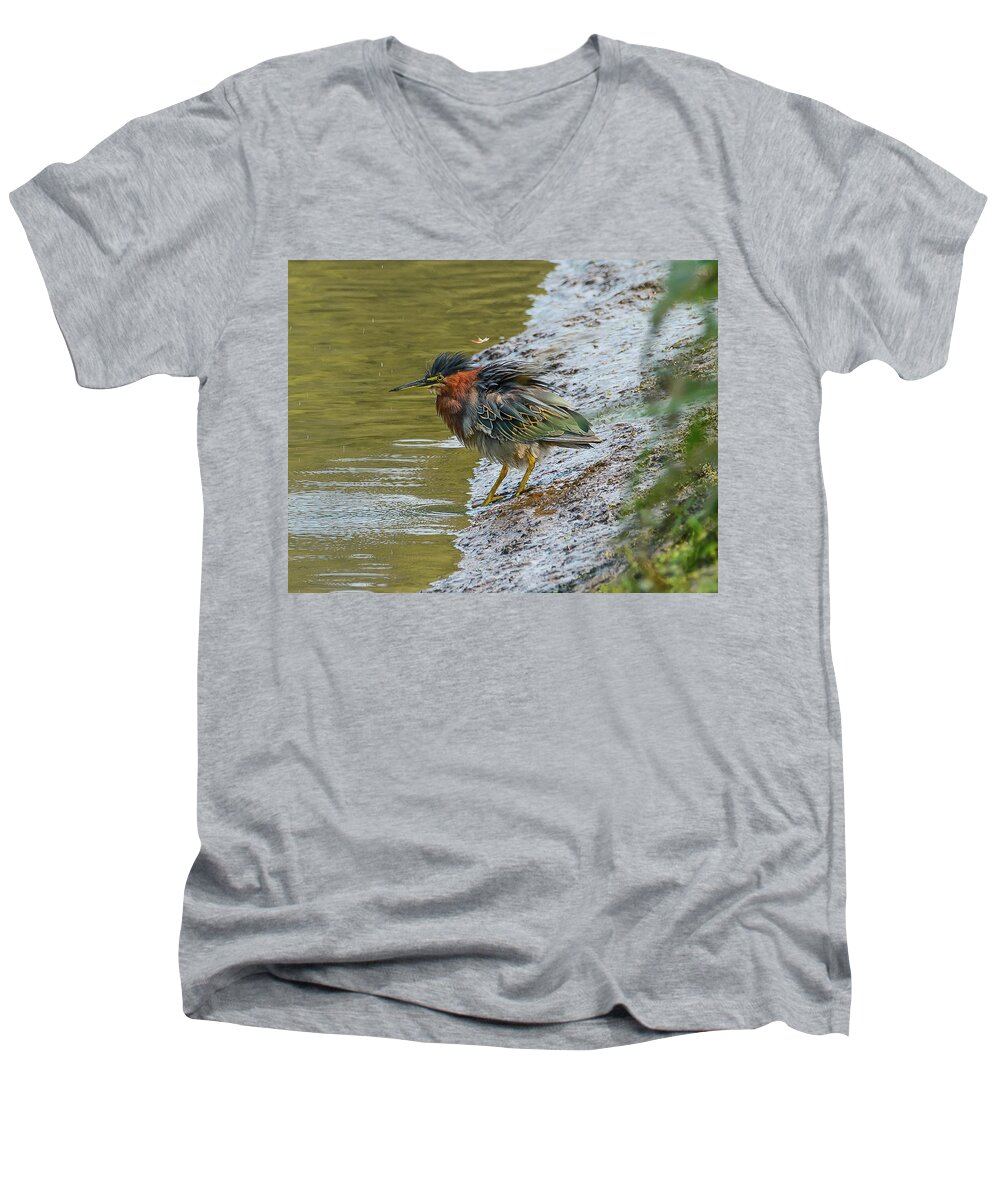 Heron Men's V-Neck T-Shirt featuring the photograph Frenzied Green Heron by Jerry Cahill