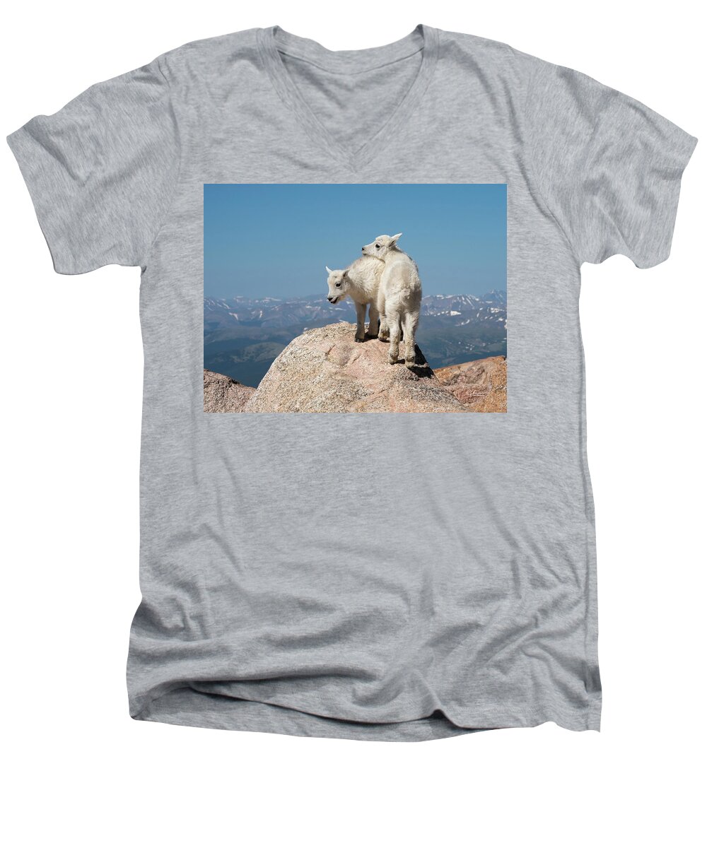 Mountain Goat Men's V-Neck T-Shirt featuring the photograph Frisky Mountain Goat Babies by Judi Dressler