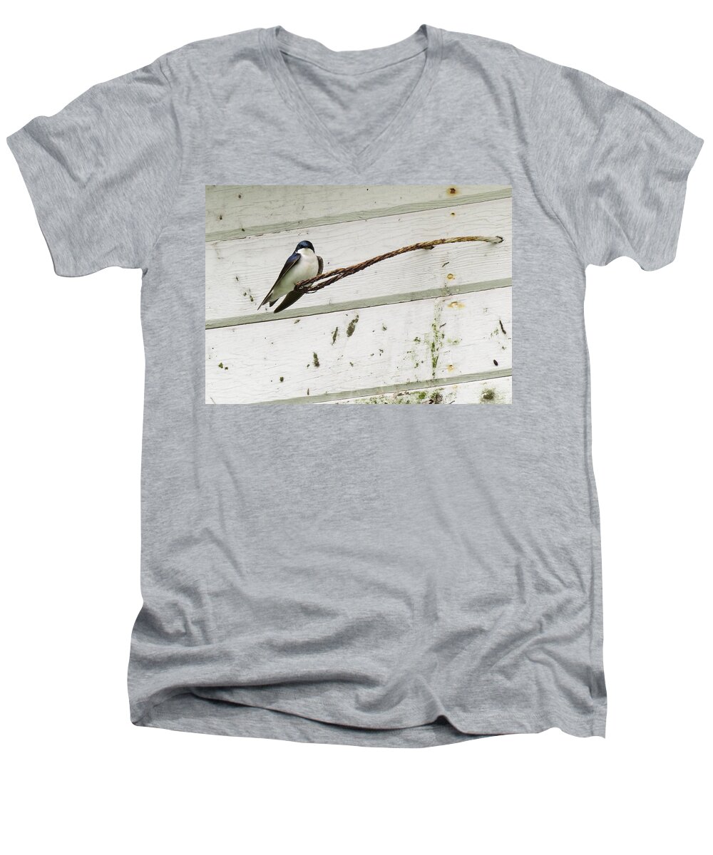 Tree Swallow Men's V-Neck T-Shirt featuring the photograph From Up High by I'ina Van Lawick