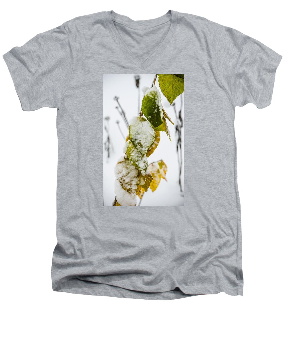 Snow Men's V-Neck T-Shirt featuring the photograph Frosted Green and Yellow by Deborah Smolinske