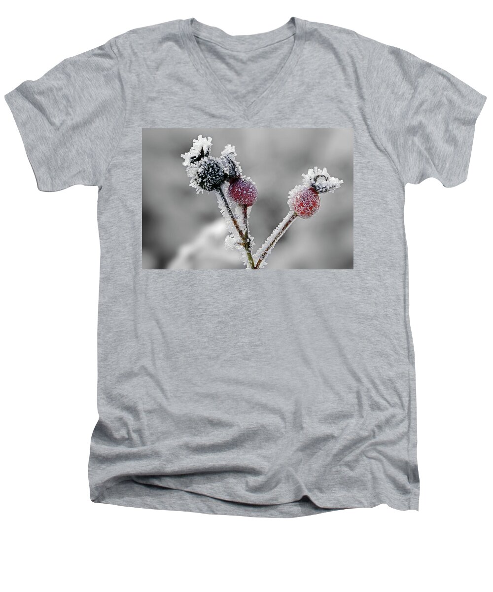 Rose Hip Men's V-Neck T-Shirt featuring the photograph Frozen buds by Inge Riis McDonald