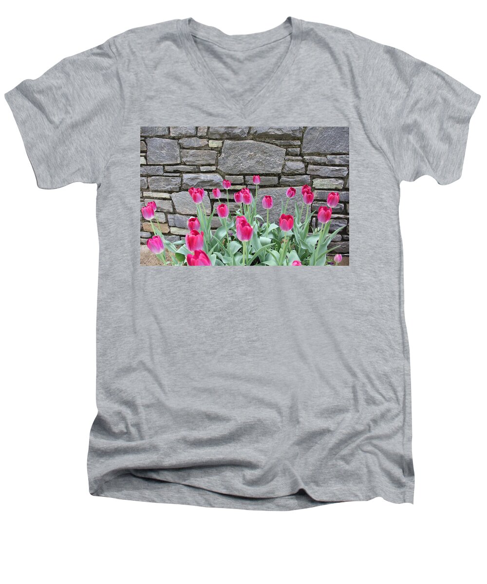 Tulips Men's V-Neck T-Shirt featuring the photograph Fuchsia Color Tulips by Allen Nice-Webb