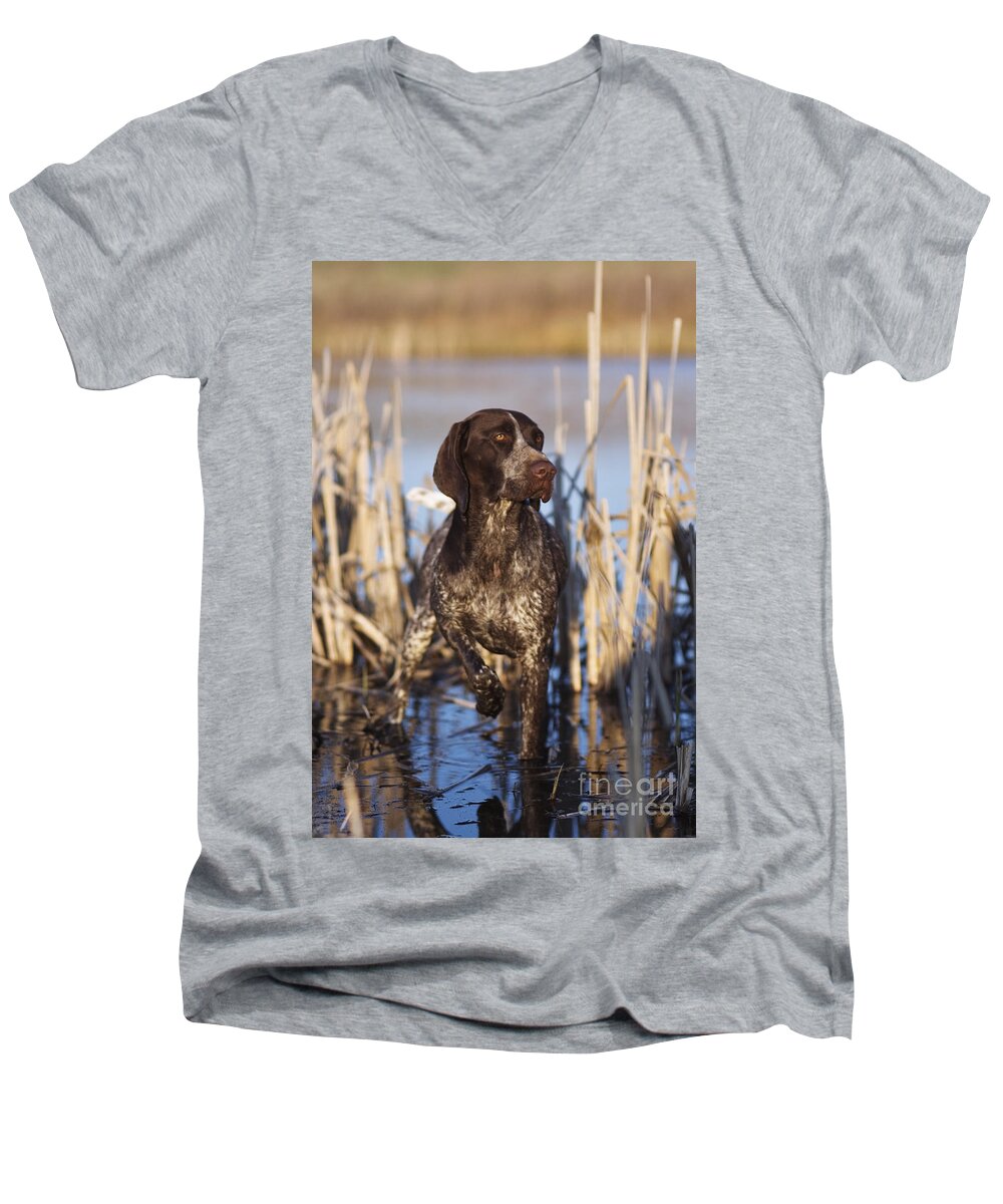 Gsp Men's V-Neck T-Shirt featuring the photograph German Shorthair On Point - D000897 by Daniel Dempster