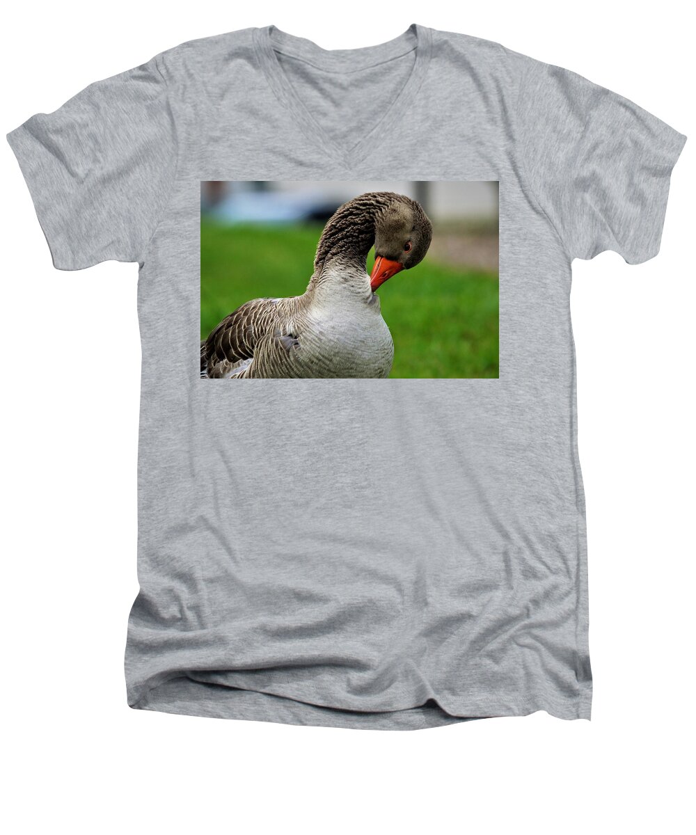 Goose Men's V-Neck T-Shirt featuring the photograph Getting ready for bed by Chuck Brown