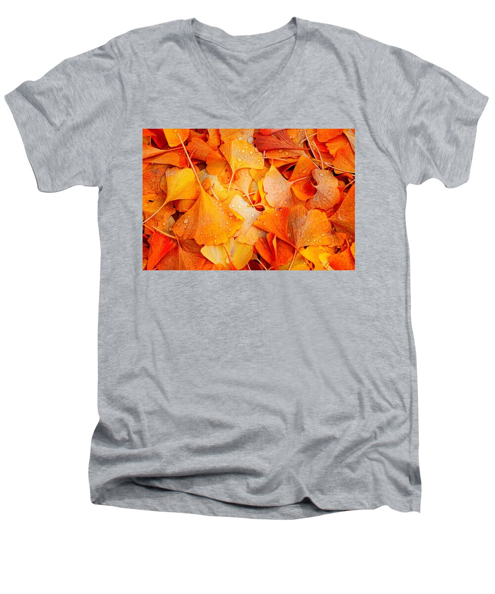 Ginkgo Men's V-Neck T-Shirt featuring the photograph Ginkgo Fall by Philippe Sainte-Laudy