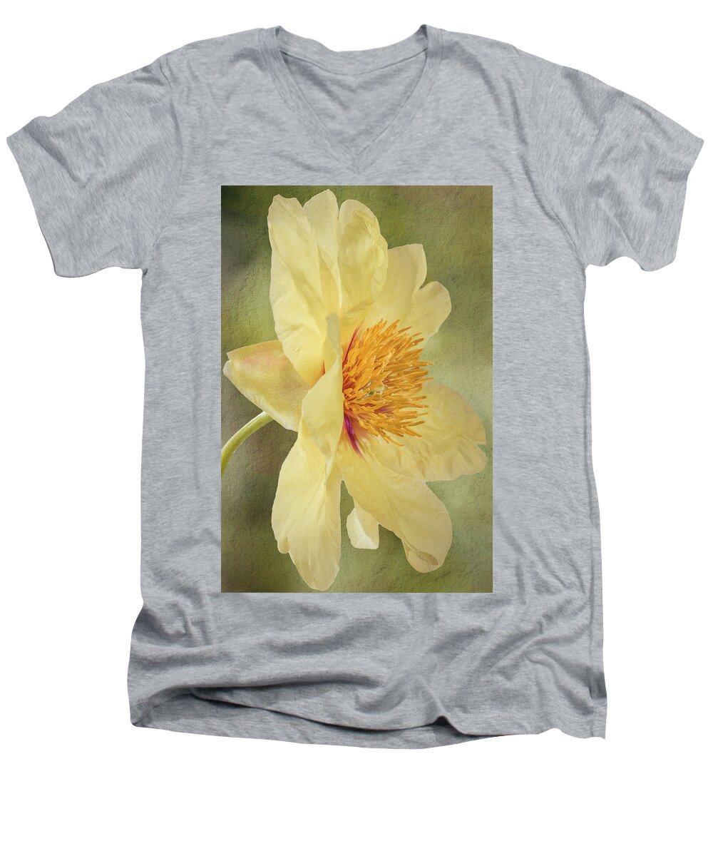 Peony Men's V-Neck T-Shirt featuring the photograph Golden Bowl Tree Peony Bloom - Profile by Patti Deters