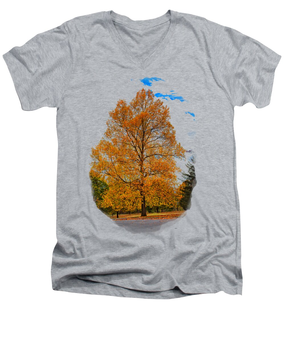 Sky Men's V-Neck T-Shirt featuring the photograph Golden Fall Colors 2 by John M Bailey