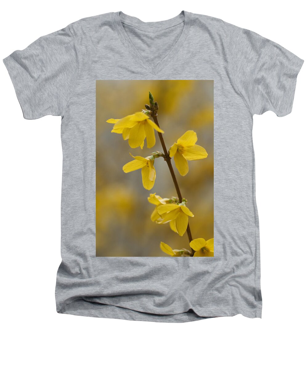 Forsythia Men's V-Neck T-Shirt featuring the photograph Golden Forsythia by Kathy Clark
