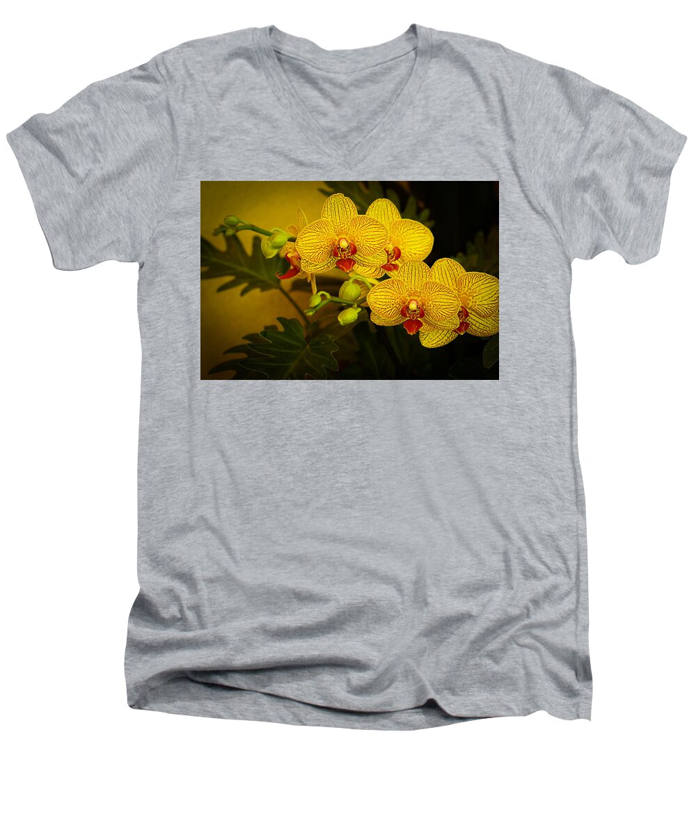 Orchids Men's V-Neck T-Shirt featuring the photograph Golden Orchids by Mary Buck