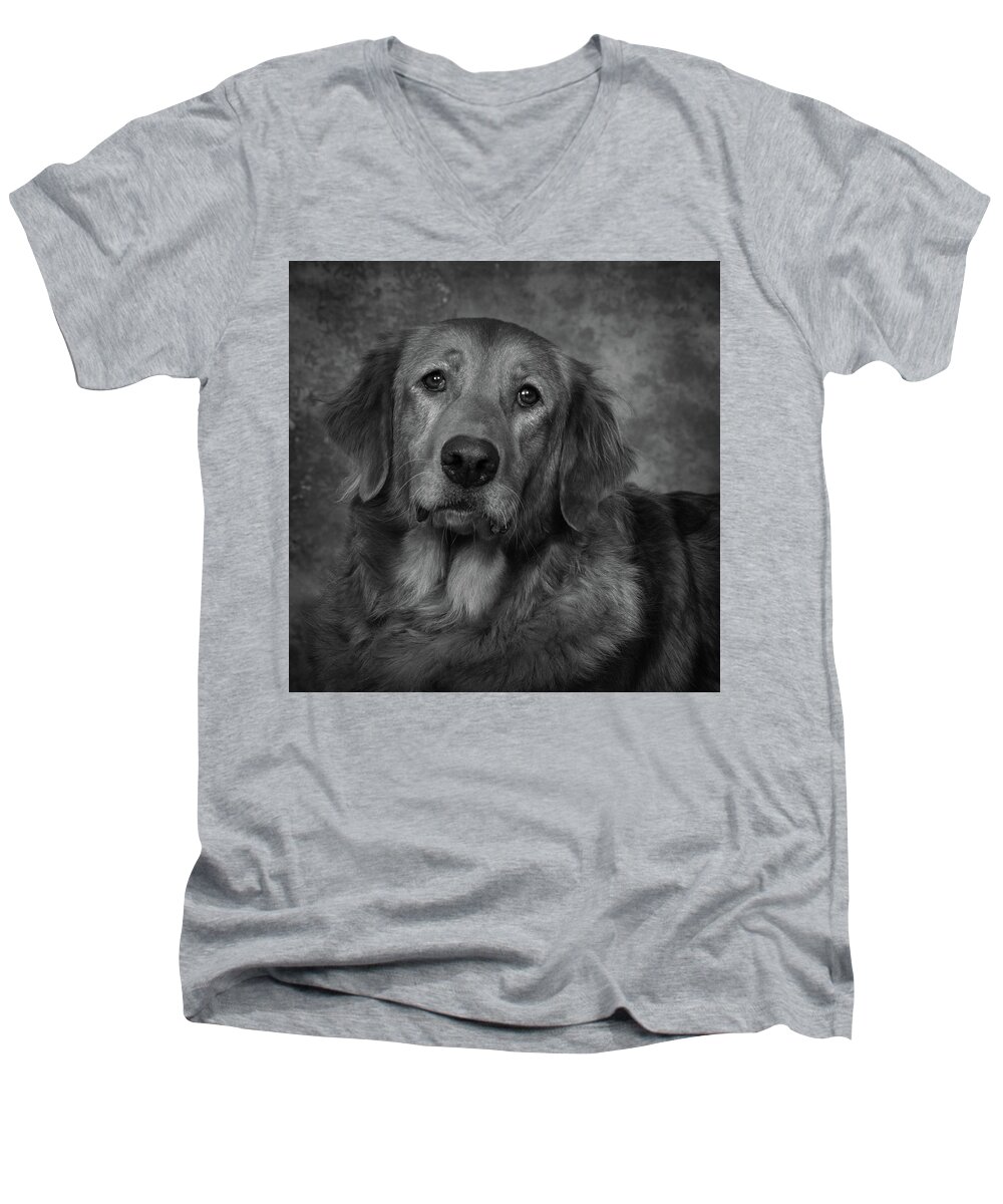 Dog Men's V-Neck T-Shirt featuring the photograph Golden Retriever In Black and White by Greg and Chrystal Mimbs