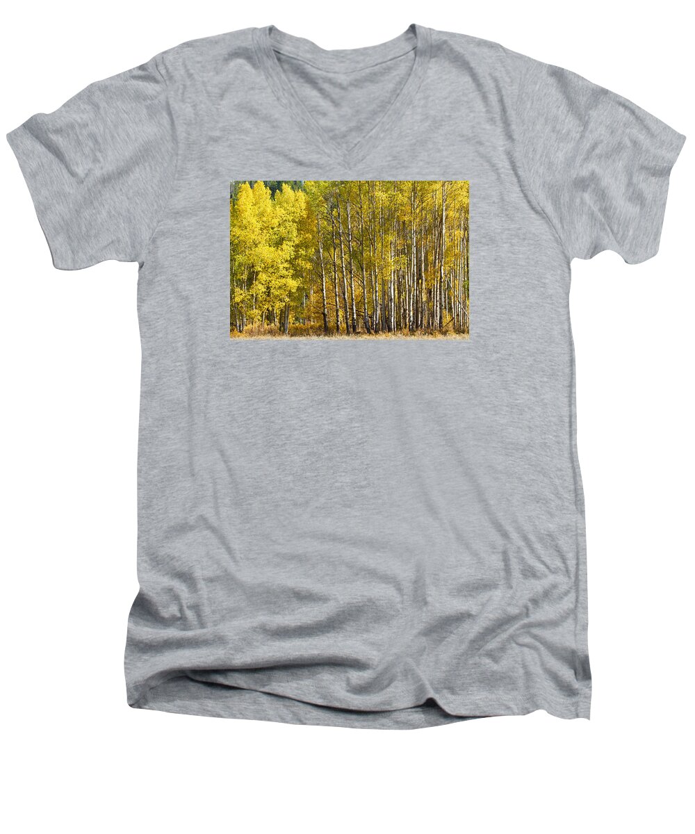 Trees Men's V-Neck T-Shirt featuring the photograph Golden by Shari Sommerfeld