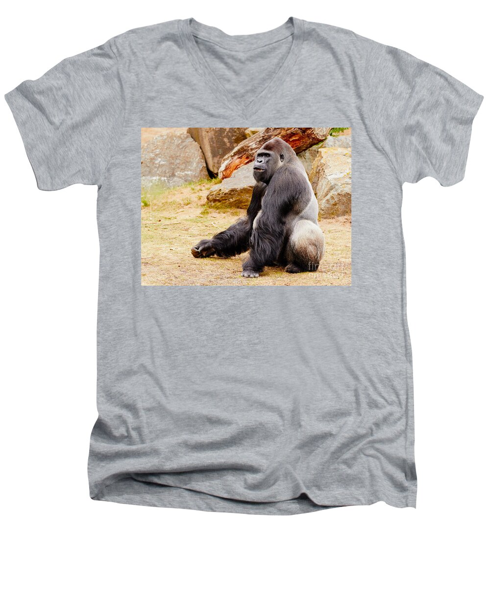 Gorilla Men's V-Neck T-Shirt featuring the photograph Gorilla sitting upright by Nick Biemans