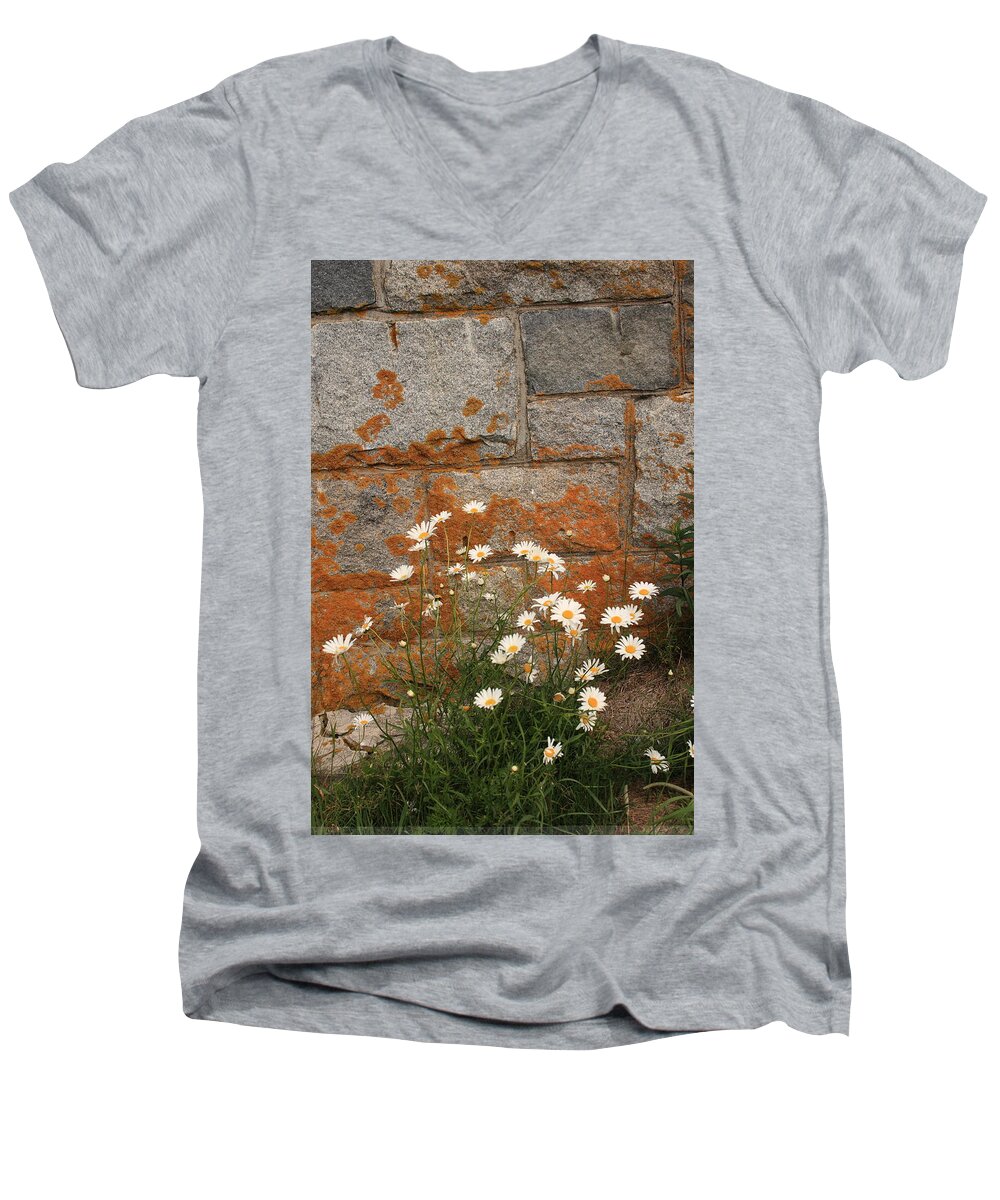 Landscape Men's V-Neck T-Shirt featuring the photograph Granite Daisies by Doug Mills