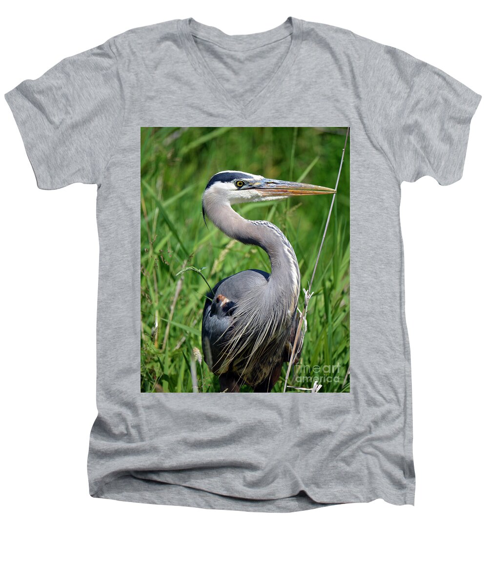 Denise Bruchman Men's V-Neck T-Shirt featuring the photograph Great Blue Heron Close-up by Denise Bruchman