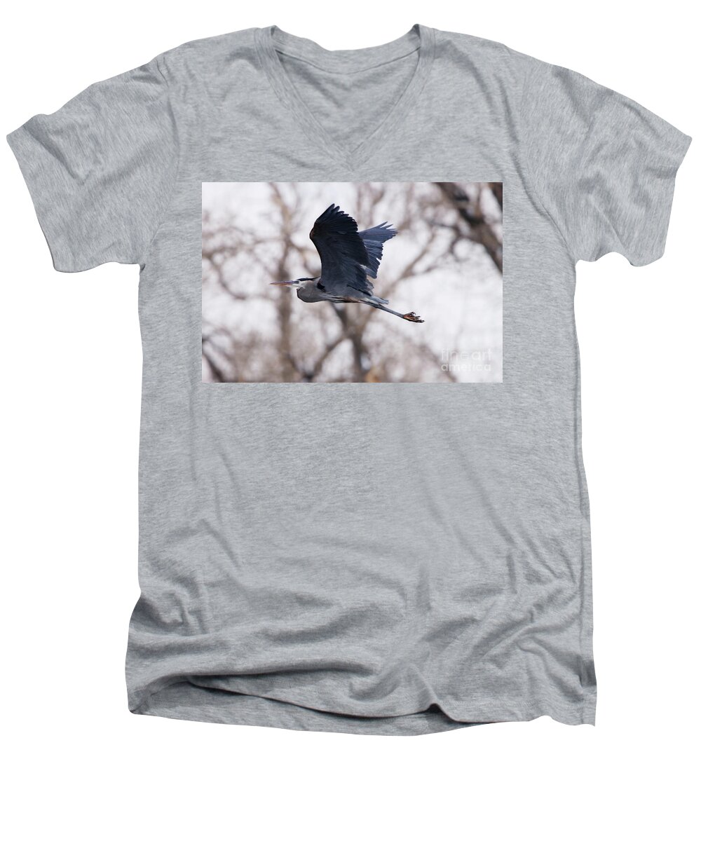 Great Blue Heron In Flight Men's V-Neck T-Shirt featuring the photograph Great Blue Heron in Flight by Alyce Taylor