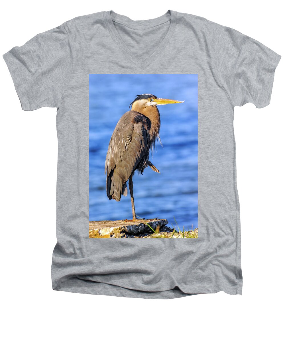 Ardea Herodias Men's V-Neck T-Shirt featuring the photograph Great Blue Heron on the Chesapeake Bay by Patrick Wolf