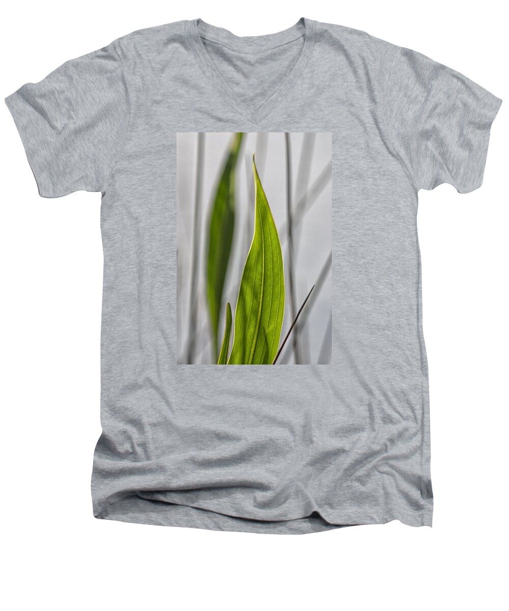 Green Shoot Men's V-Neck T-Shirt featuring the photograph Green Botanical Composition by John Harmon
