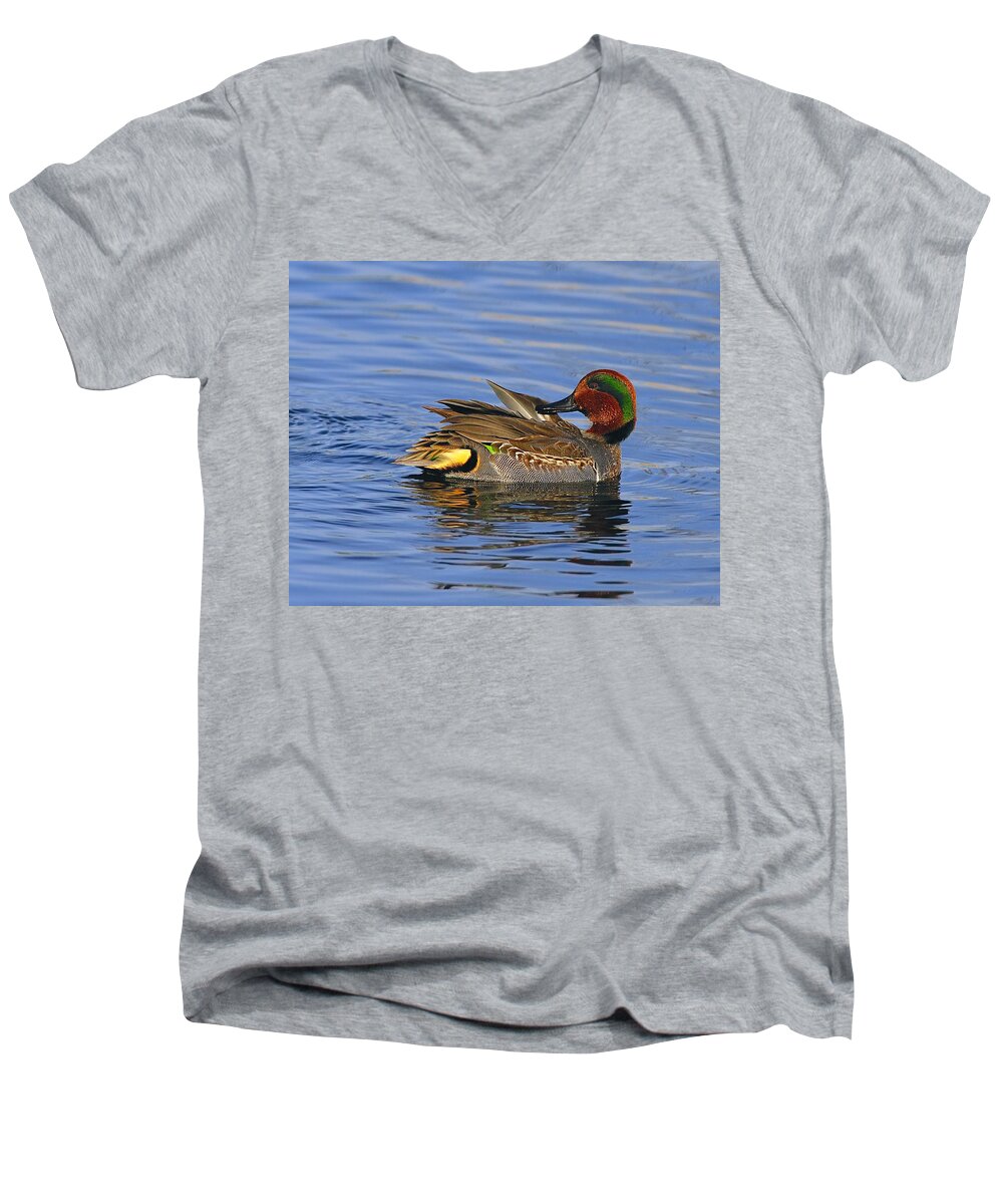 Green-winged Teal Men's V-Neck T-Shirt featuring the photograph Green-winged Teal by Tony Beck