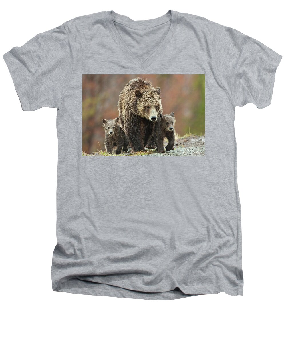 Grizzly Men's V-Neck T-Shirt featuring the photograph Grizzly Family by Wesley Aston