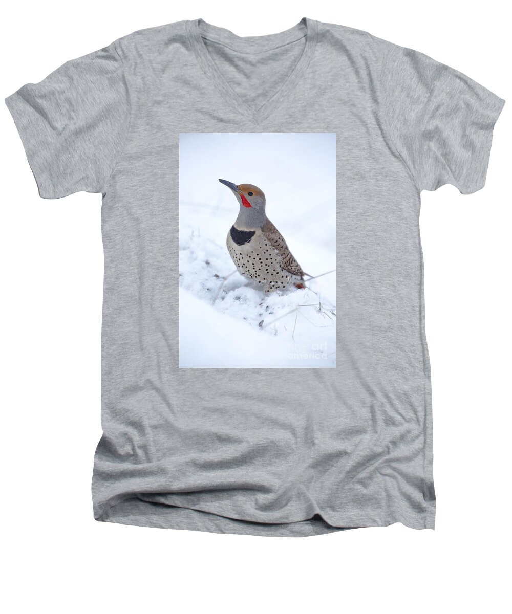 Bird Men's V-Neck T-Shirt featuring the photograph Grubbin by Douglas Kikendall