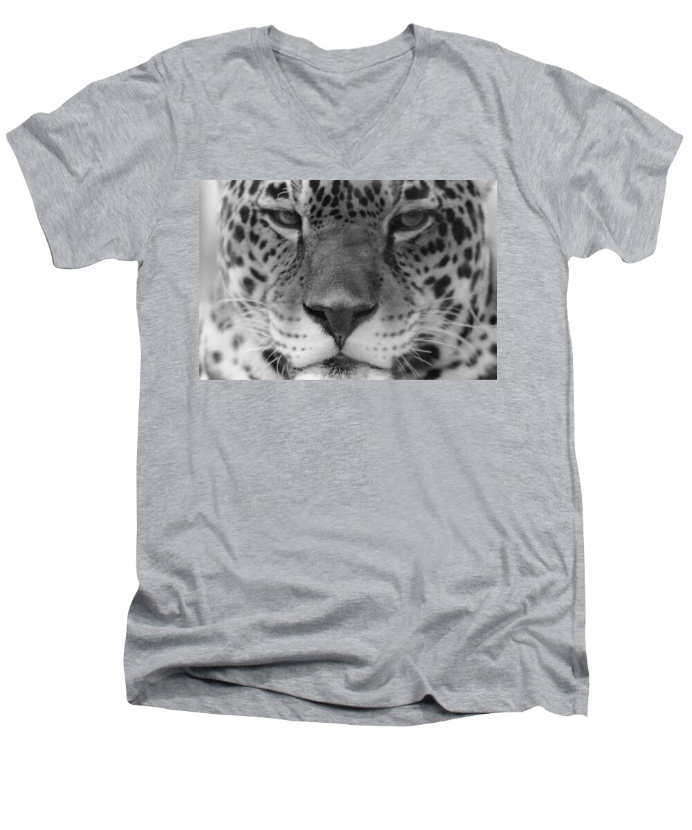 Tiger Men's V-Neck T-Shirt featuring the photograph Grumpy Tiger by Joseph Caban