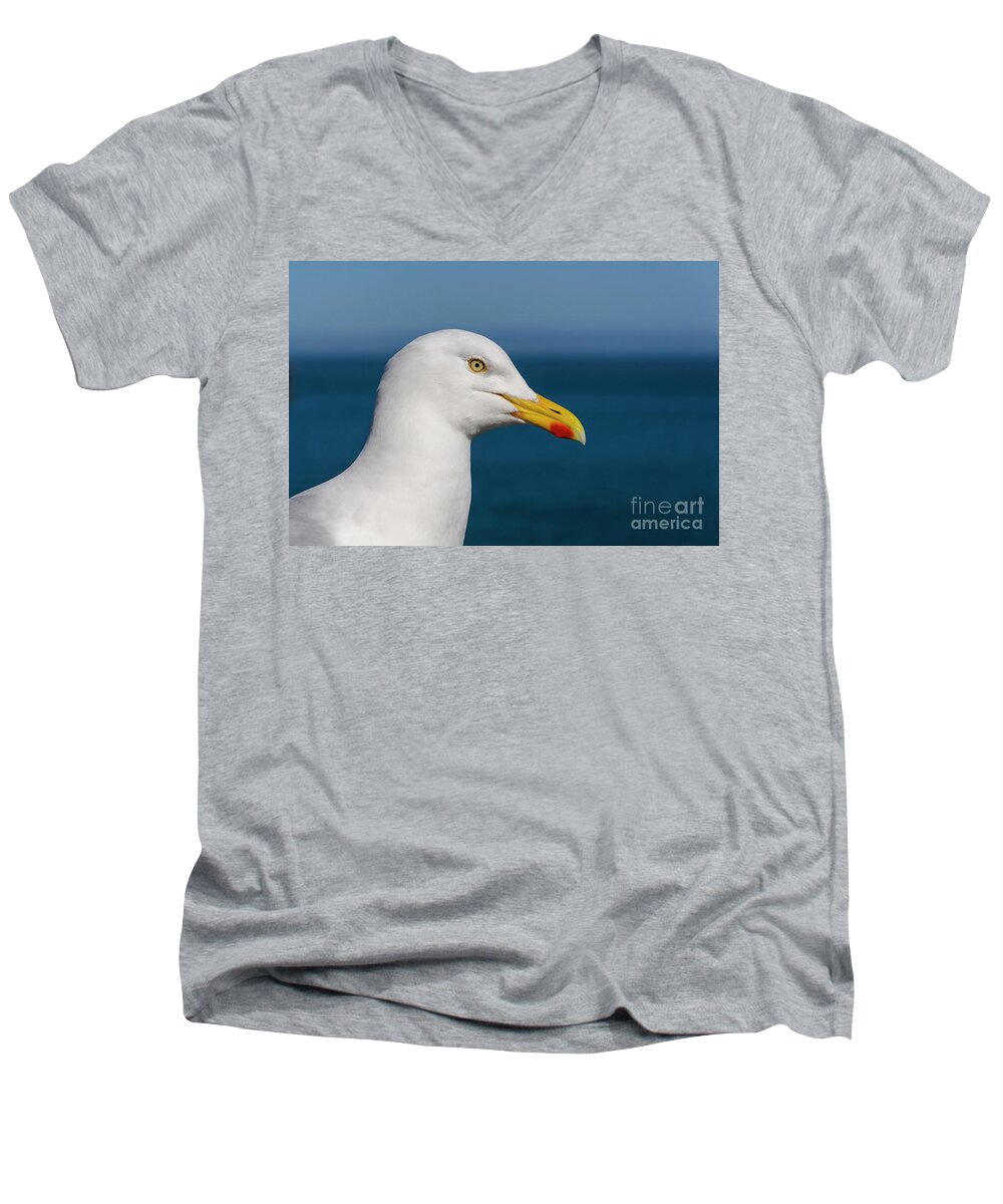 Gull Men's V-Neck T-Shirt featuring the photograph Gull by Steev Stamford