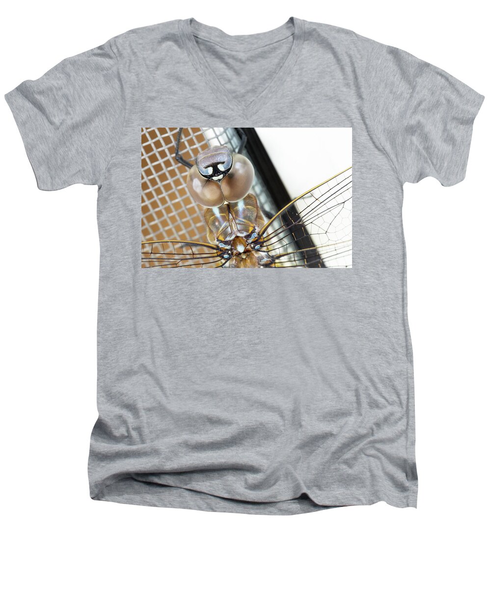 Animal Men's V-Neck T-Shirt featuring the photograph Happy Dragonfly by Bob Cournoyer