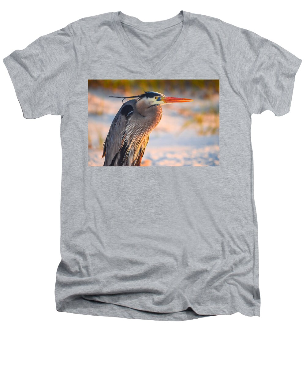 Bird Men's V-Neck T-Shirt featuring the photograph Harry the Heron with Plumage Close-Up by Jeff at JSJ Photography