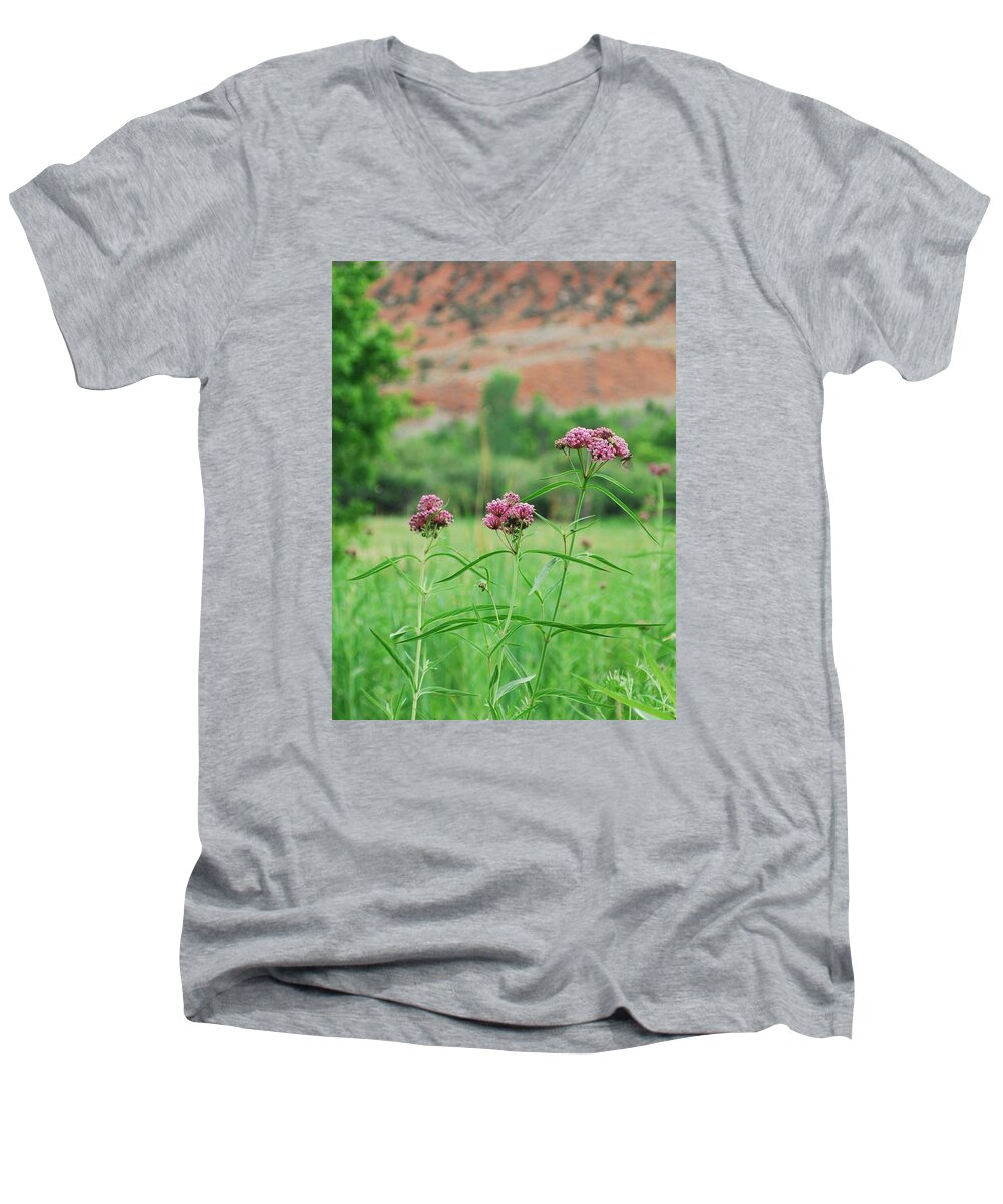 Dinosaur National Monument Men's V-Neck T-Shirt featuring the photograph Heat Retreat by Brad Hodges