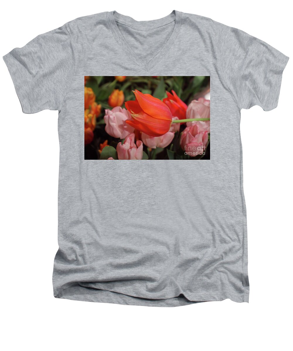 Tulip Men's V-Neck T-Shirt featuring the photograph Hello by Sandy Moulder