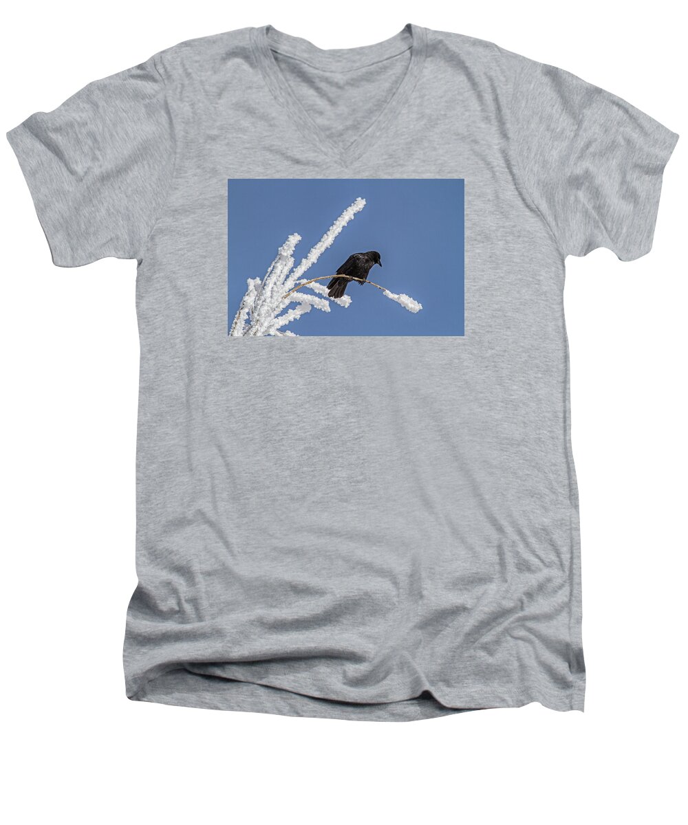 Frost Men's V-Neck T-Shirt featuring the photograph Hoarfrost and the Crow by Alana Thrower