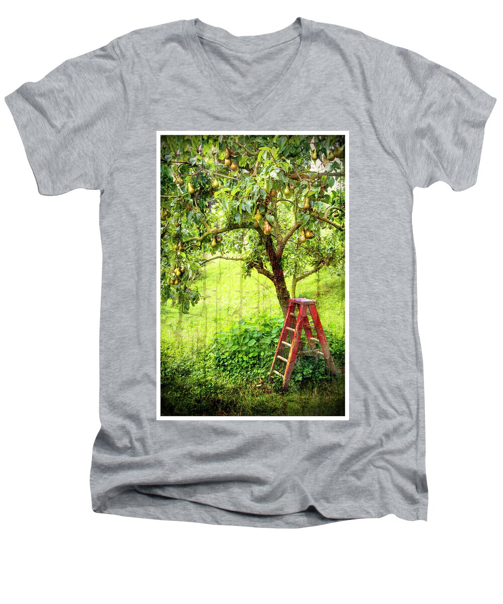 Hobbits Men's V-Neck T-Shirt featuring the photograph Hobbit Pear Tree by Kathryn McBride