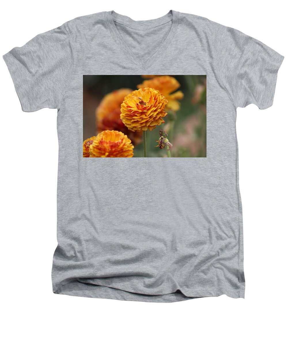 Honey Brown Ranunculus Men's V-Neck T-Shirt featuring the photograph Honey Brown and Pumpkin Ranunculus by Colleen Cornelius