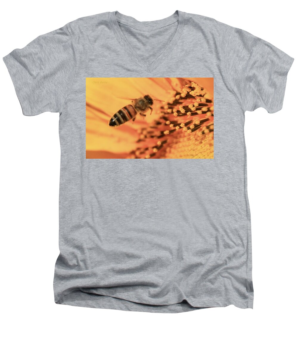 Grinter Men's V-Neck T-Shirt featuring the photograph Honeybee and Sunflower by Chris Berry