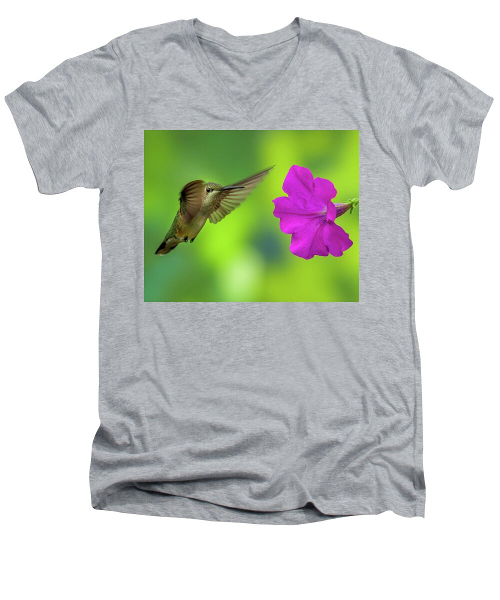 Hummingbird Men's V-Neck T-Shirt featuring the photograph Hummingbird and Flower by Allin Sorenson