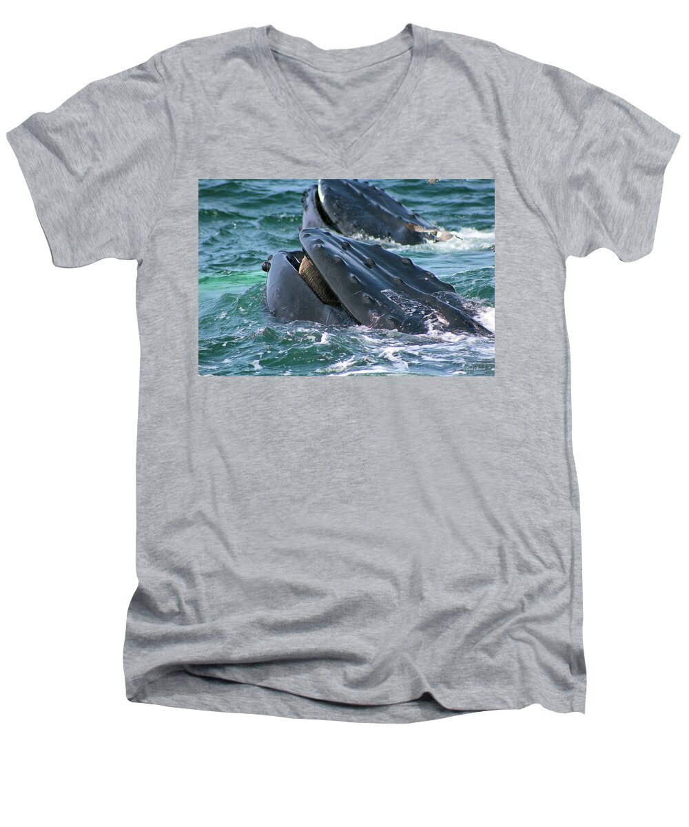 Humpback Whale Mouth Men's V-Neck T-Shirt featuring the photograph Humpback Whale Mouth by Linda Sannuti