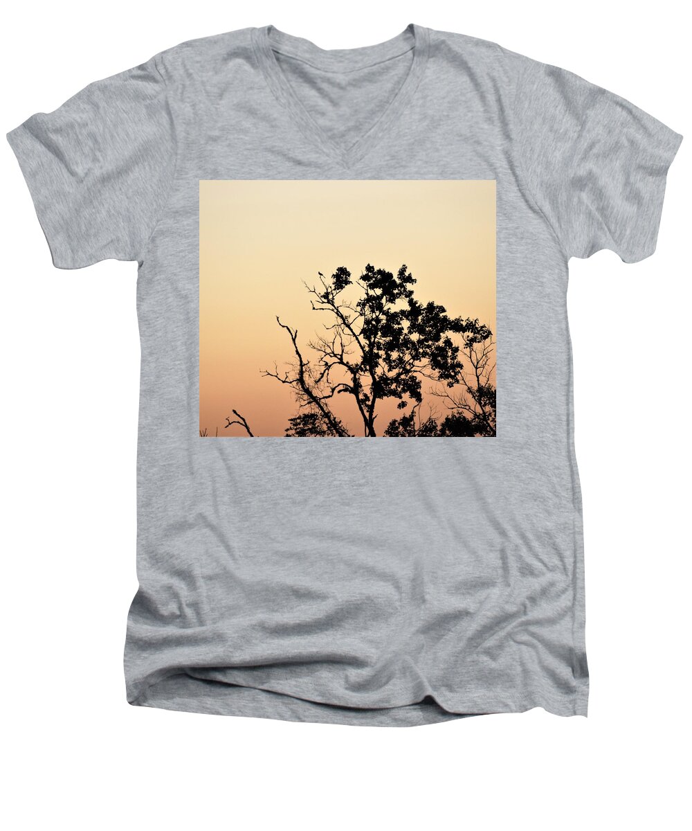 Morning Men's V-Neck T-Shirt featuring the photograph Hush Little Baby by John Glass