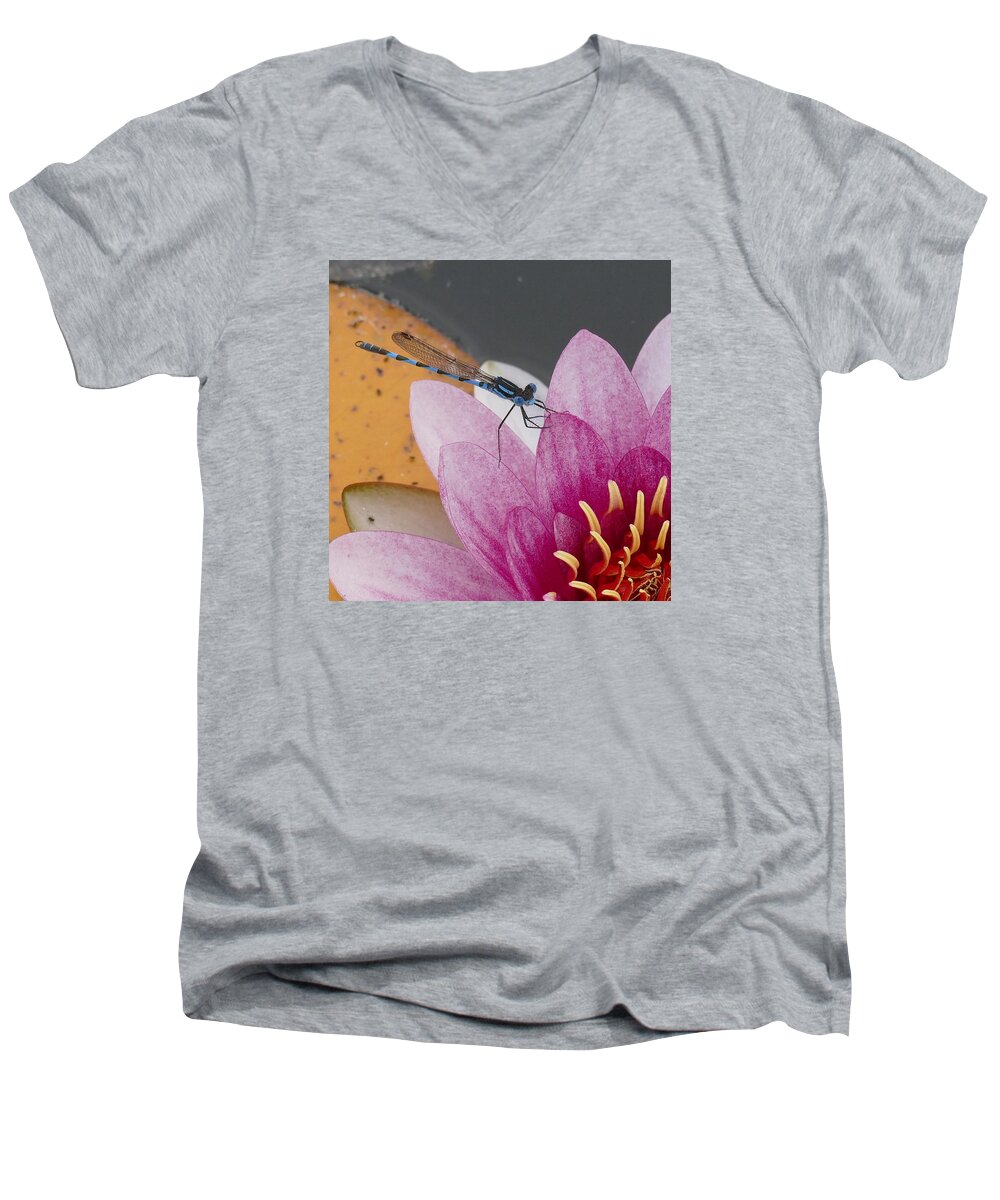 Plant; Flower; Blossom; Pond; Animal; Dragon Fly; Insect; Blue; Water Lily; Pink; Macro; Close-up; Australia; Men's V-Neck T-Shirt featuring the photograph I Know You by Evelyn Tambour