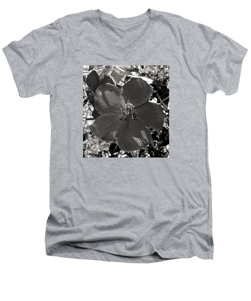 Flower Men's V-Neck T-Shirt featuring the photograph I Was Purple by Brad Hodges