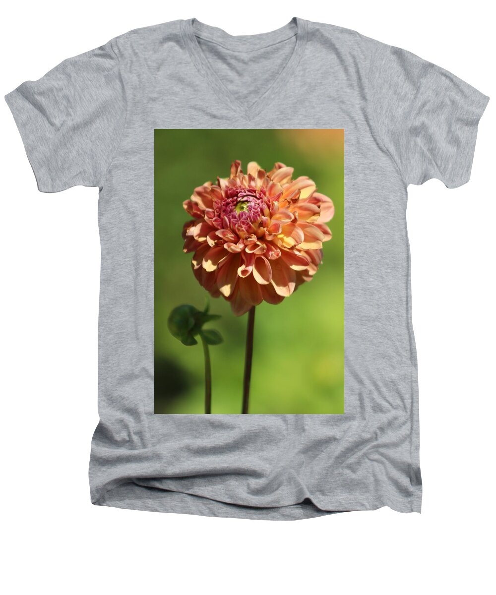 Ice Tea Men's V-Neck T-Shirt featuring the photograph Iced Tea Dahlia in Marzipan and Milano Tones by Colleen Cornelius